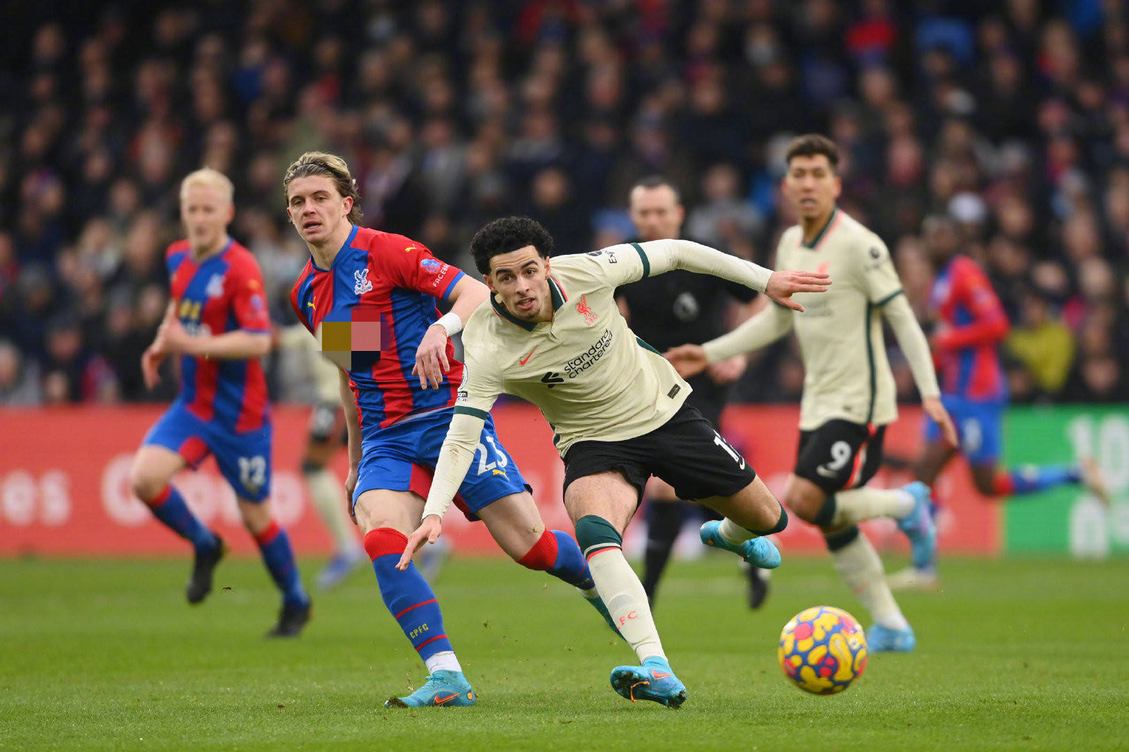 两归化没搞 两归化没搞